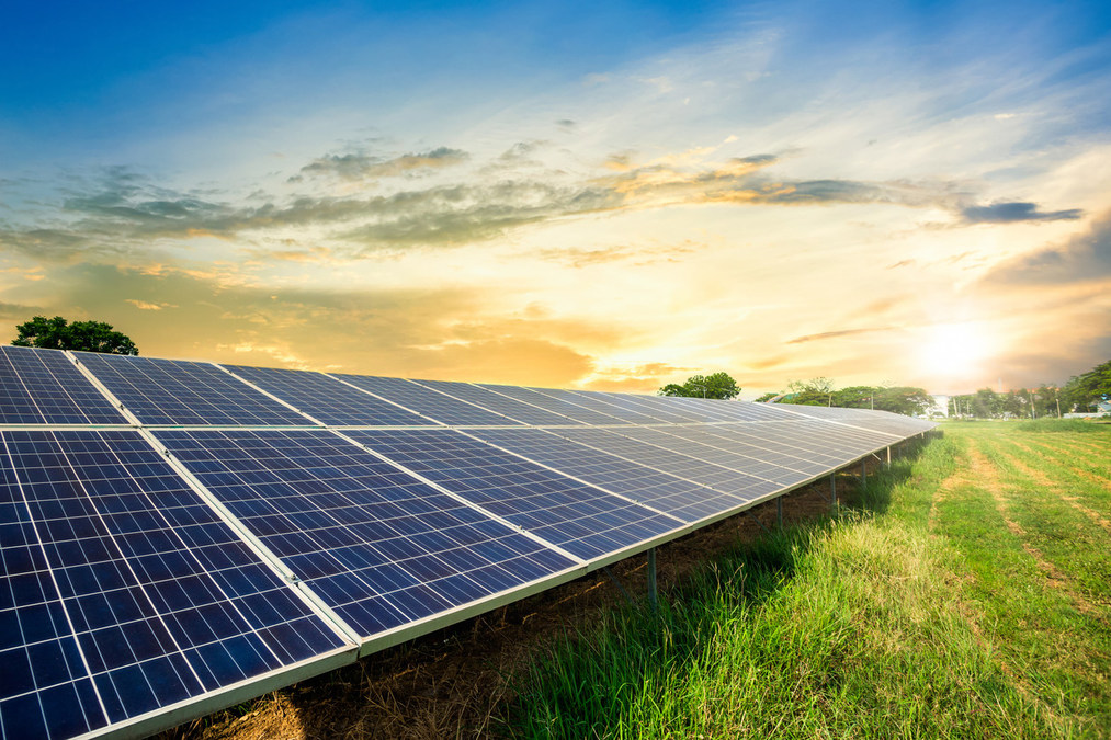 The University of Panama and Greenwood Energy Unveil Environmental Education Partnership with Utility-Scale Solar Initiative - Vimarsana News
