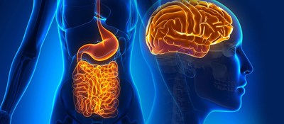The Gut-Brain-Axis is the subject of growing scientific interest