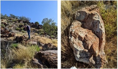 FIGURE 1: OUTCROPPING RIDGE OF QUARTZ VEINING /ALTERED COUNTRY ROCK (CNW Group/MegaWatt Lithium and Battery Metals Corp.)