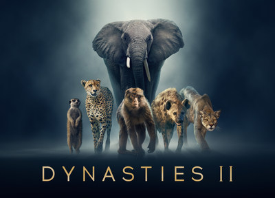Dynasties II