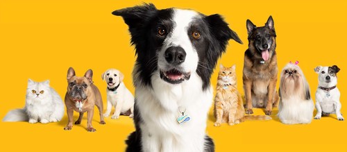 More pet parents are securing pet insurance as routine veterinary care, treatments and overall pet health costs continue to rise. Physicians Mutual Pet insurance is one of few providers to offer inclusive coverage, meaning no matter how young or old the pet, or what breed, they are covered.