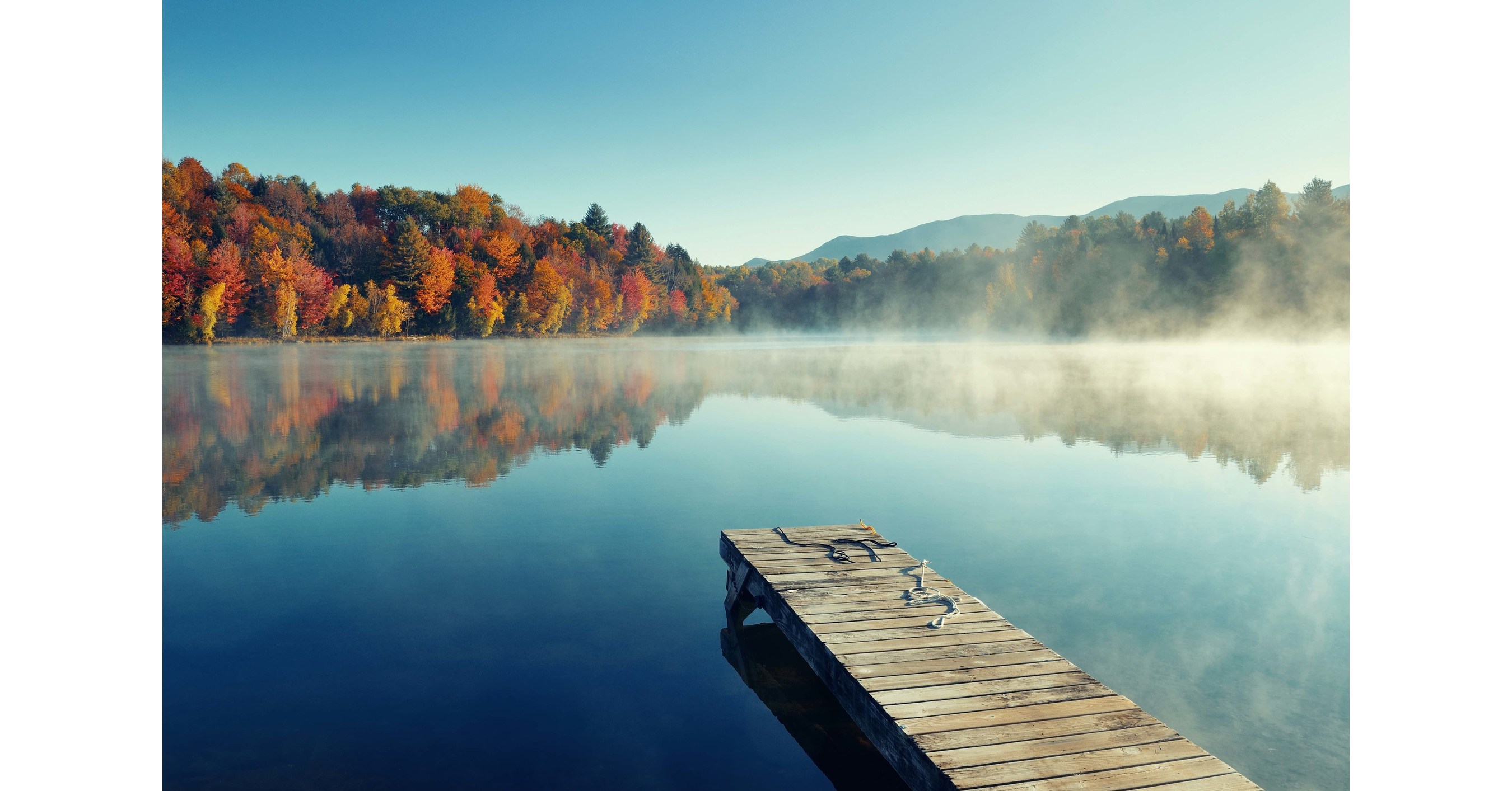 As VT Goes Legal, Small, Independent Growers and Retailers to Be Highlighted in First-Ever Vermont Cannabis Week - Vimarsana News