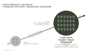 Jatropower entwickelt neues Geschäftsmodell zur langfristig profitablen Entfernung von CO2 aus der Atmosphäre mit Plantagen auf Brachland