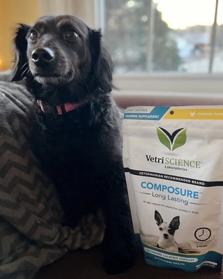 The VetriScience Composure line of calming supplements for dogs are fast-acting and clinically shown to have calming effects for up to eight hours.