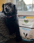 VetriScience® Composure™ is Title Sponsor of 'Live's Pawfect Match' Pet Week on 'Live with Kelly and Ryan'