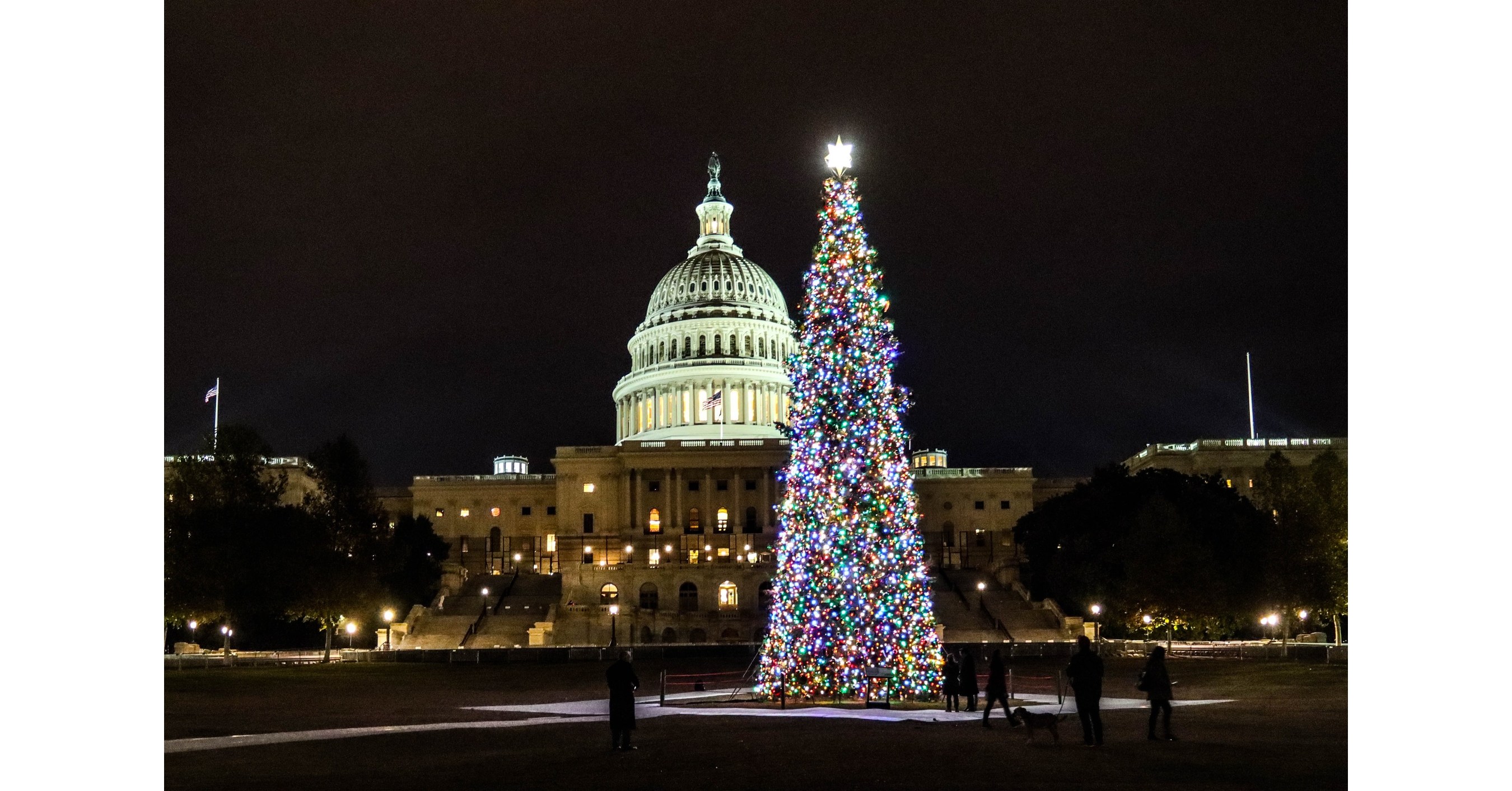 84 Lumber Announces Premier Sponsorship of 2022 U.S. Capitol Christmas Tree