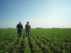 New data helps farmers build flexible soybean weed management plans