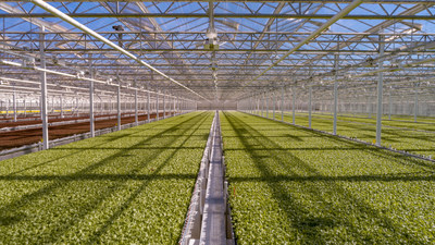 Little Leaf Farms' new greenhouse in McAdoo, Pennsylvania