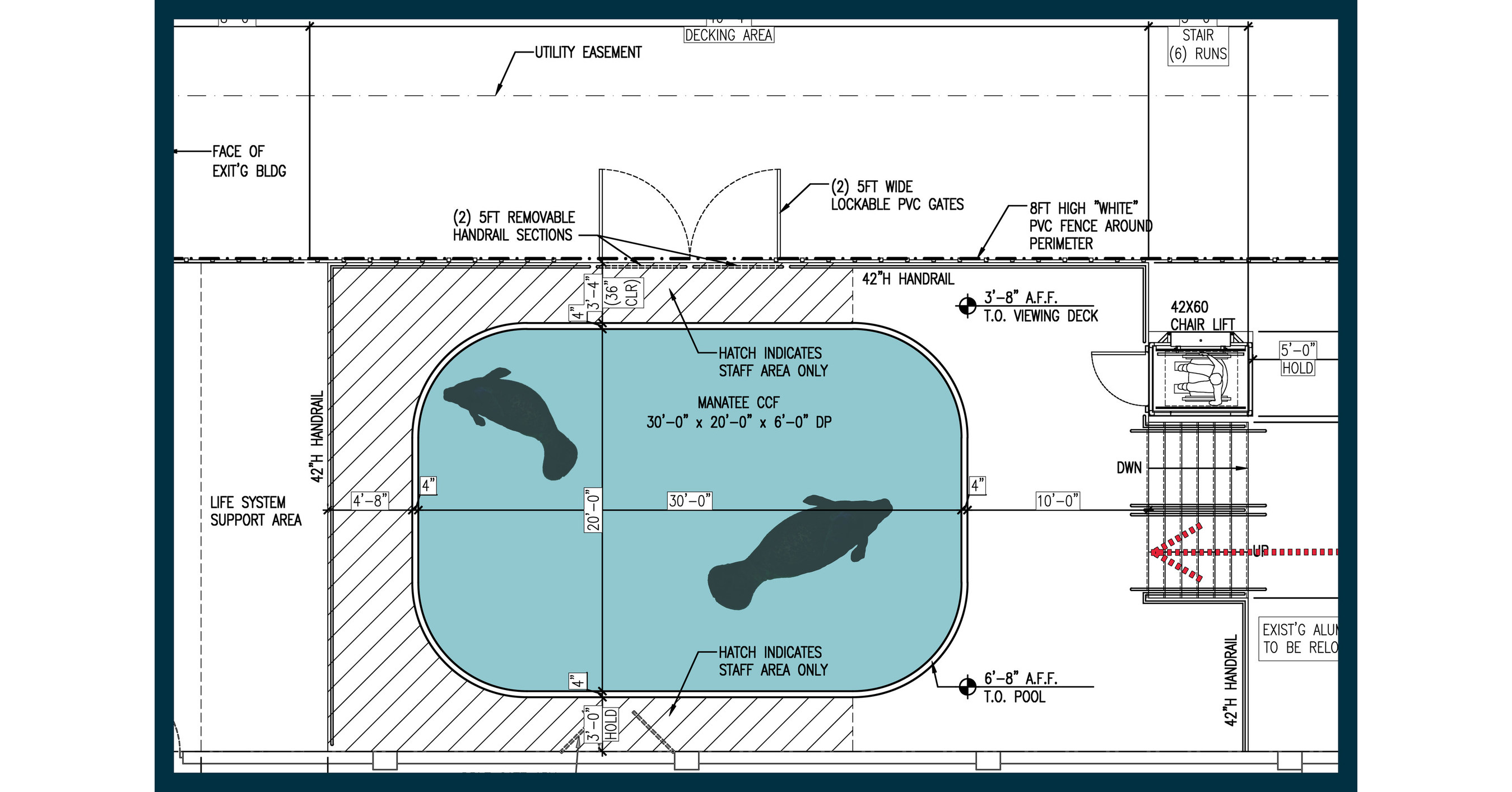 Clearwater Marine Aquarium Receives 3.5 Million for Manatee Research