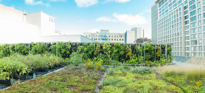 Green roof, Palais des congrs de Montral (CNW Group/Palais des congrs de Montral)