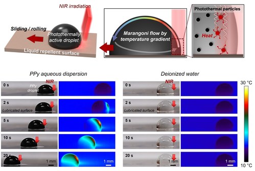 (Top) Schematic showing near-infrared light-based control of a liquid droplet infused with polypyrrole (PPy) nanoparticles. Upon irradiating one side of the PPy-infused droplet, the nanoparticles absorb the light and heat up, inducing Marangoni flow caused by a temperature gradient. Real and infrared images of PPy aqueous dispersion (bottom left) and deionized water (bottom right) droplet during droplet manipulation by NIR laser.