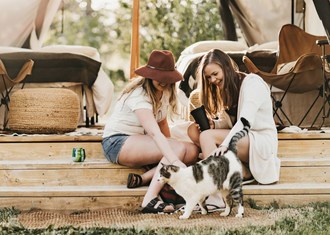 Canadian campers say pets in, parents out as summer 2022 camping