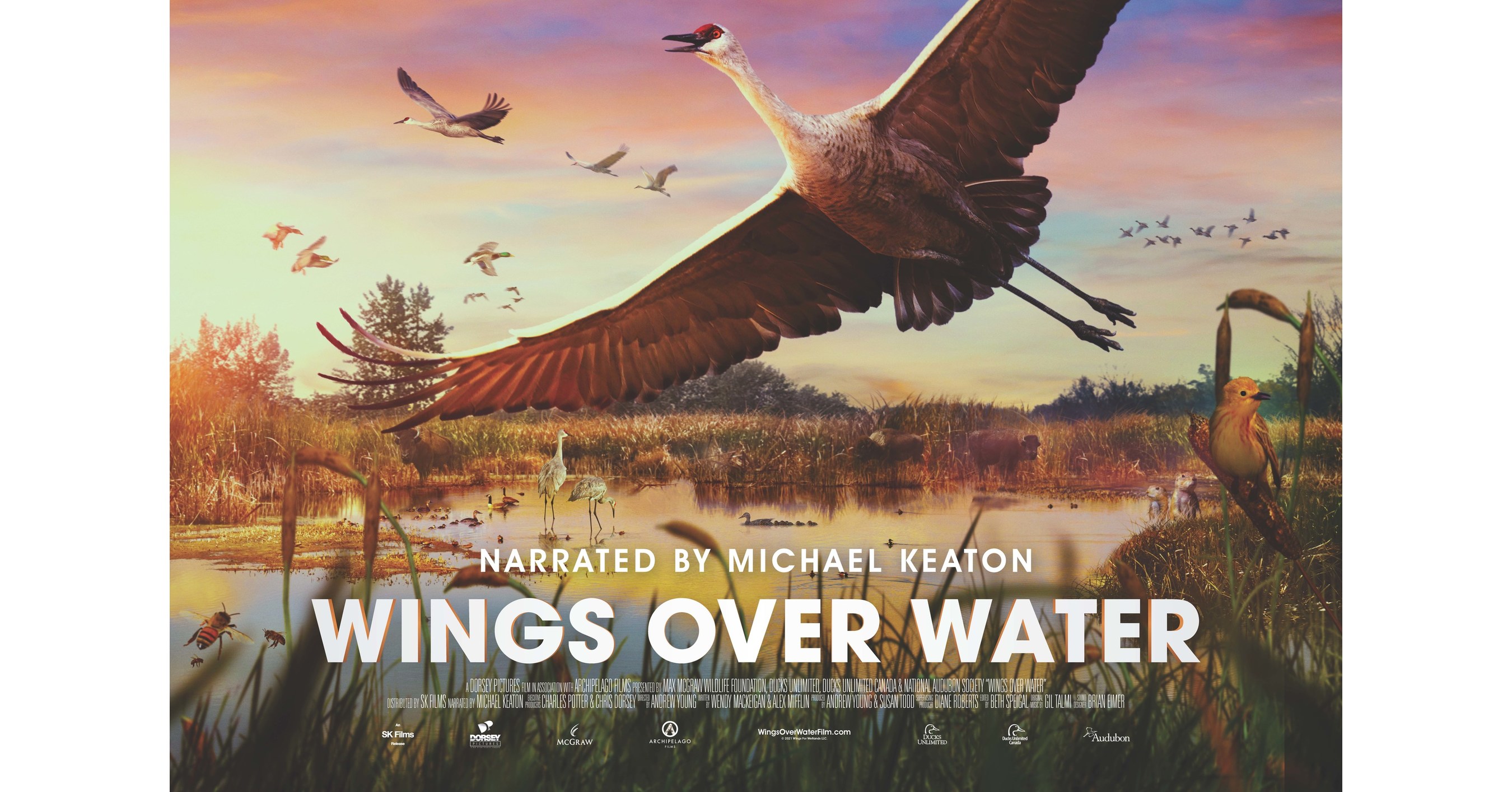 Wings Over Water documentary captivates audiences with a bird's eye