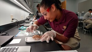 Cornerstone Christian Academy Receives National Recognition for Commitment to Empowering Students