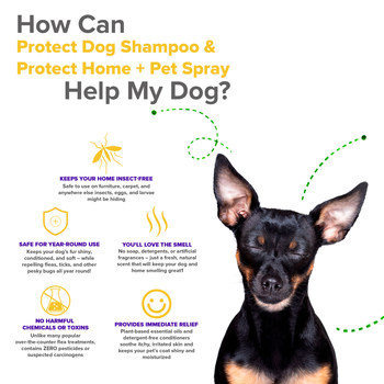 100% PROTECTION - Includes a unique blend of essential oils such as Cedar Wood Oil, Rosemary Oil, Lemongrass Oil, Coconut Oil (and Argan Oil in the Shampoo). Years of science and research show that these oils really work and are safe for your dog! Compare for yourself - VetSmart Protect contains more active essential oils than the other products on the market.