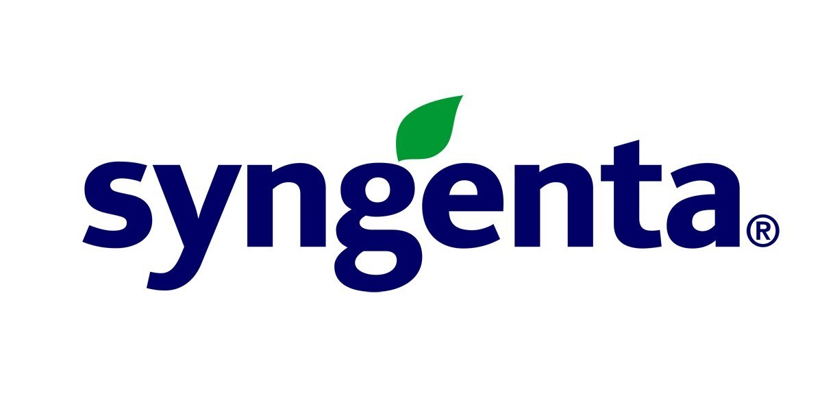 New research shows potential of Syngenta's Enogen corn to pay financial and sustainability dividends for dairy industry - Vimarsana News