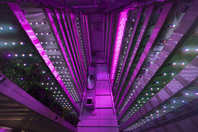Intelligent Growth Solutions' Crop Research Centre in Dundee, Scotland (PRNewsfoto/Intelligent Growth Solutions (IGS))
