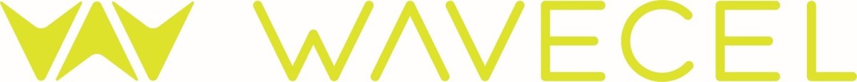 Revolutionizing Workplace Safety, The New Line of Type II+ WaveCel Hard Hats Launches for Heavy Industry Workers - Vimarsana News