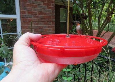 Provide Hummingbirds a "penthouse view" with Cole's "Hummer High Rise" feeder. Photo courtesy of coleswildbird.com