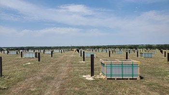 Photovoltaic panels delivered and prepared for installation at the Buckeye Files Solar Project in Hill County, Texas.  More than 350,000 panels will be used on the site.