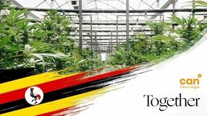 Cantourage UK brings Together Pharma's Uganda-grown medical cannabis to the United Kingdom