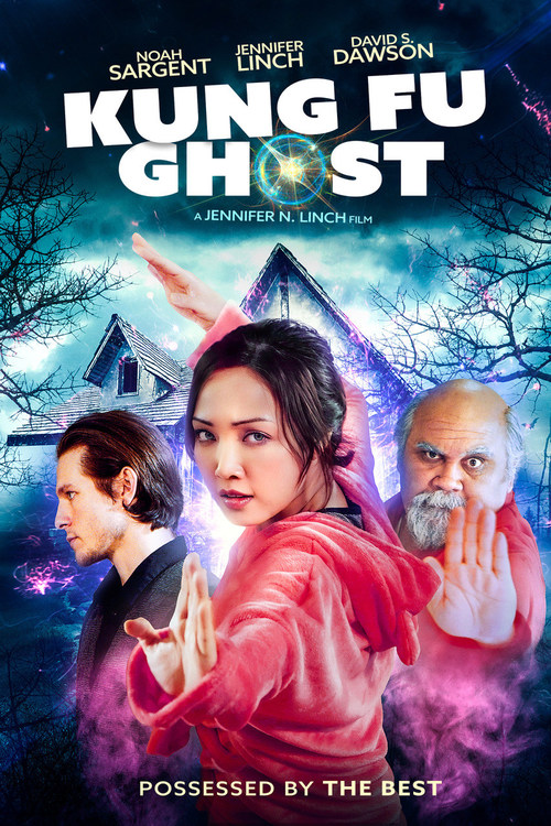 Kung Fu Ghost Martial Arts Movie Poster