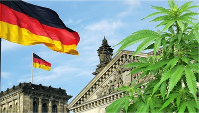 Coalition Government Urged to Legalize Cannabis