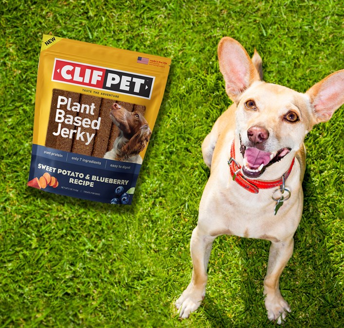 Your dog can get ready for the big game with the help of Petco