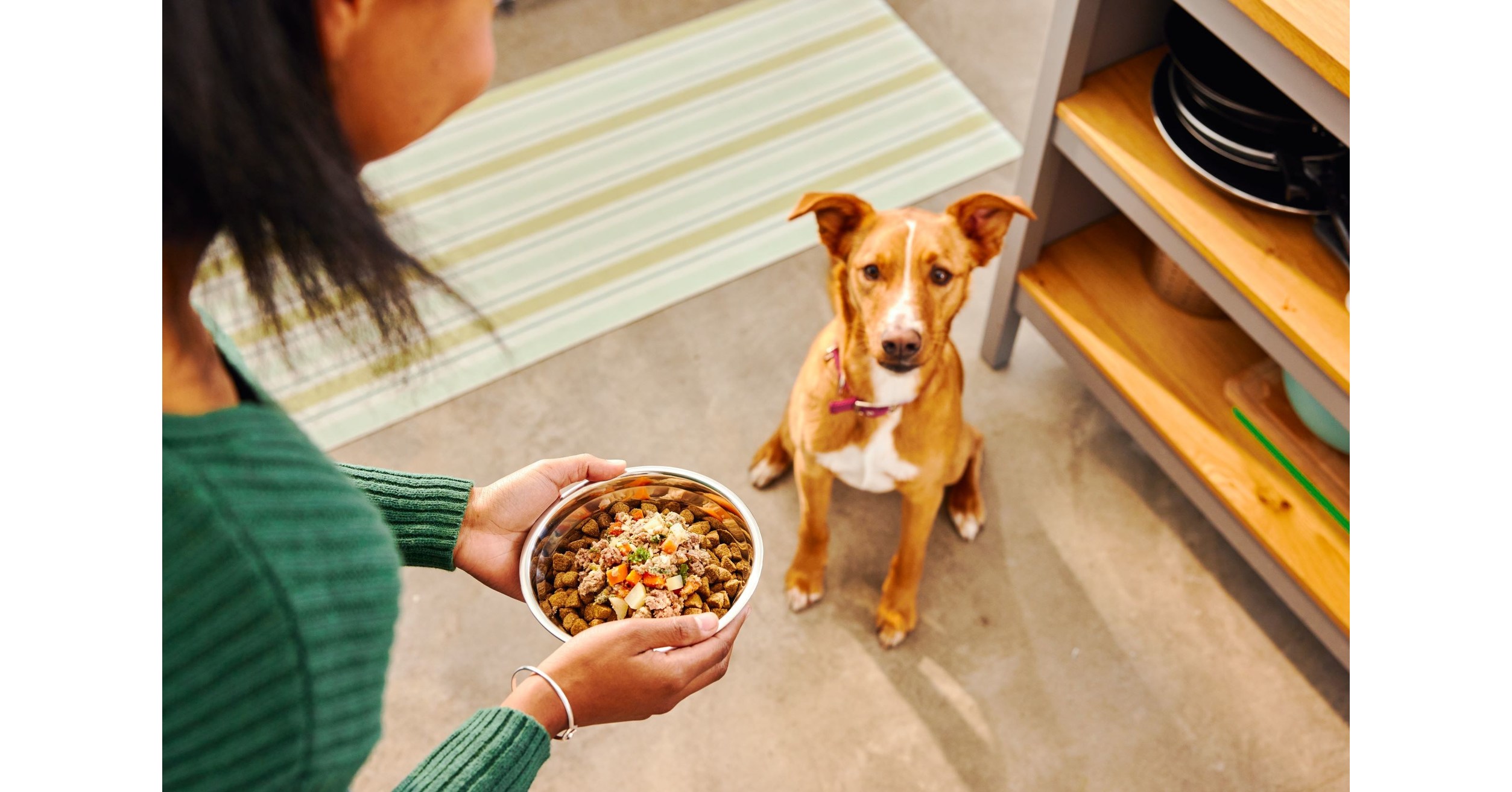 Dogs Get a Boost of Fresh Nutrition Wellness Pet Company Enters the Fresh Pet Food Segment to
