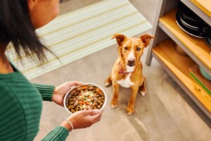 Dogs Get a Boost of Fresh Nutrition: Wellness Pet Company Enters the Fresh Pet Food Segment to Supercharge Dogs' Kibble