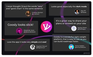 Goosly: the art of planning in public