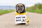 Saving The Bees One Tree at a Time