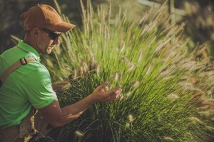 The Search for the Fountain of Youth: Can Plants Make You Live Forever?