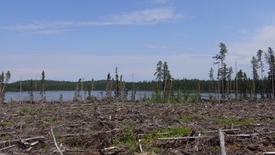 Bande boise insuffisante au Lac de l'Ours Blanc (Groupe CNW/Fdration des pourvoiries du Qubec (FPQ))
