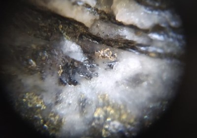 Coarse electrum in core from Naranjo. Assays pending. (CNW Group/Outcrop Silver & Gold Corporation)
