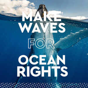 The Ocean Race Launches Campaign for a Universal Declaration of Ocean Rights