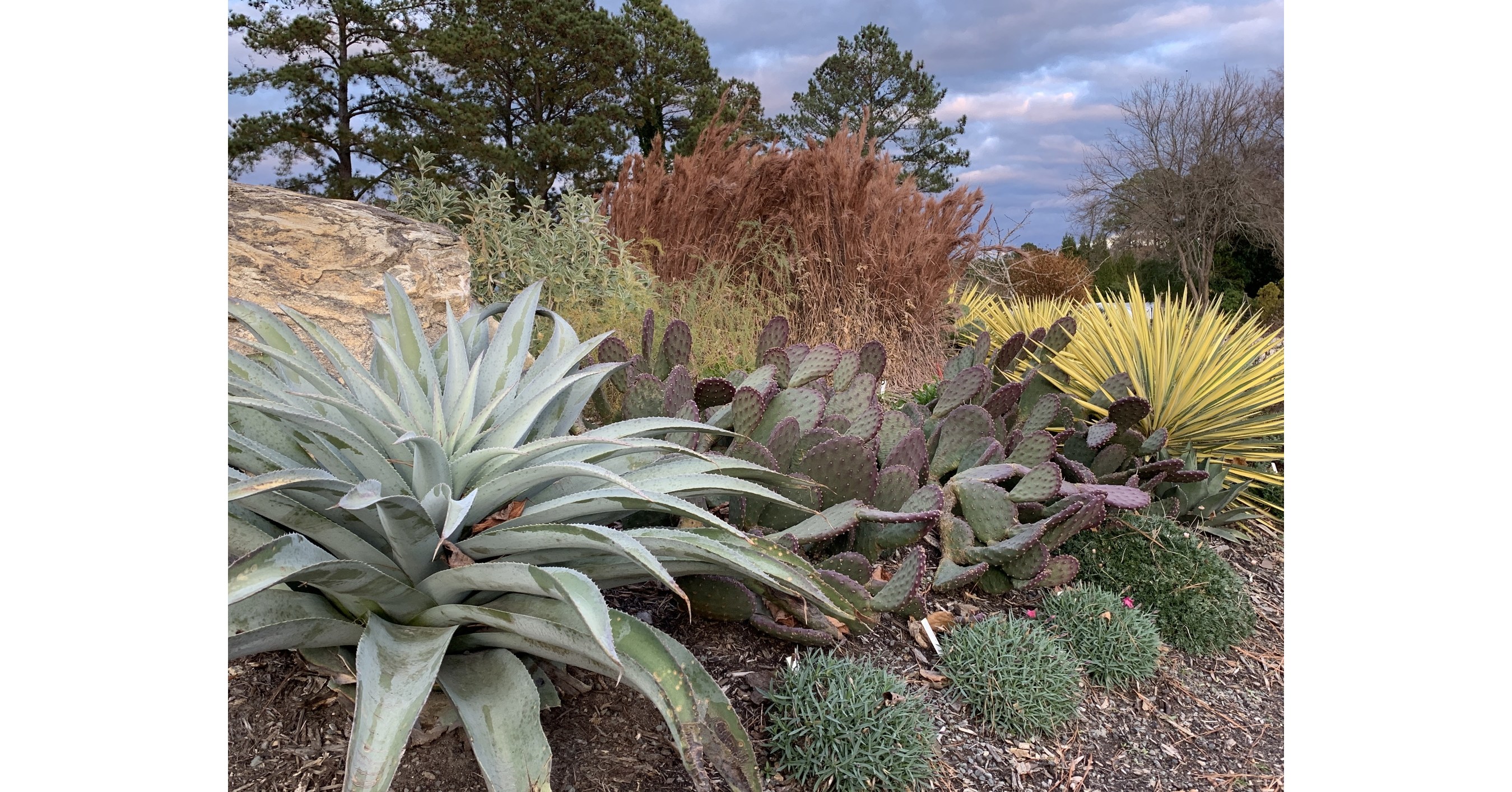 Bleakley Financial Group Announces the Evolution of Their Business to an Independent Registered Investment Advisor