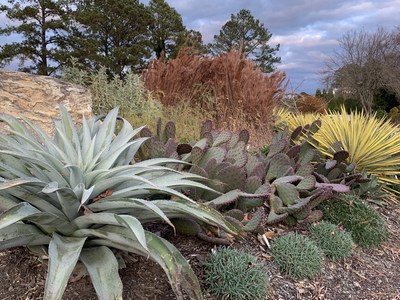 Juniper Level Botanic Garden, Raleigh, North Carolina.