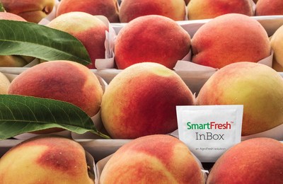 SmartFresh InBox offers powerful produce protection in a small, portable sachet.