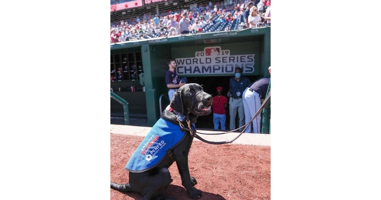 Amazin' Mets Foundation partners with America's VetDogs to raise