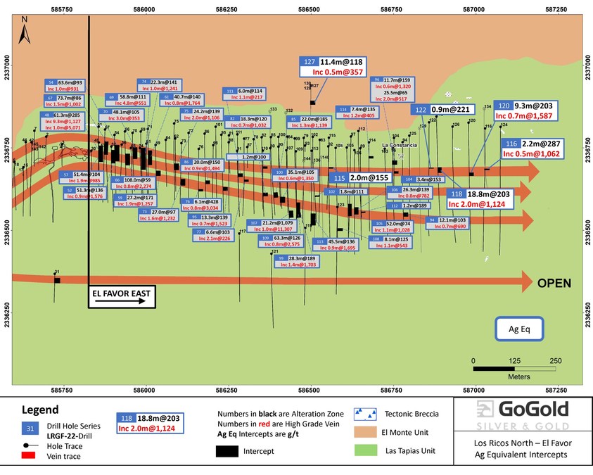 GoGold Announces Additional Positive Drilling at El Favor East - Vimarsana News