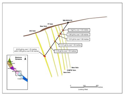Figure 3: SB-2022-016 cross section with vein intersections and grade. (CNW Group/Talisker Resources Ltd)