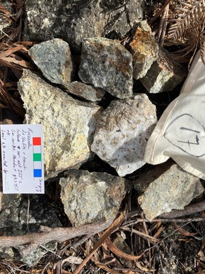 Figure 3. Sample GM10067 showing strongly greisen altered, quartz veined and brecciated granite from an undrilled area of historical workings that has been mapped over greater than 1 x 0.5 km. GM10067 returned 2.1% tin and seven other samples in the area returned values greater than 0.1% tin. Coloured scale in cm. (CNW Group/TinOne Resources Corp.)