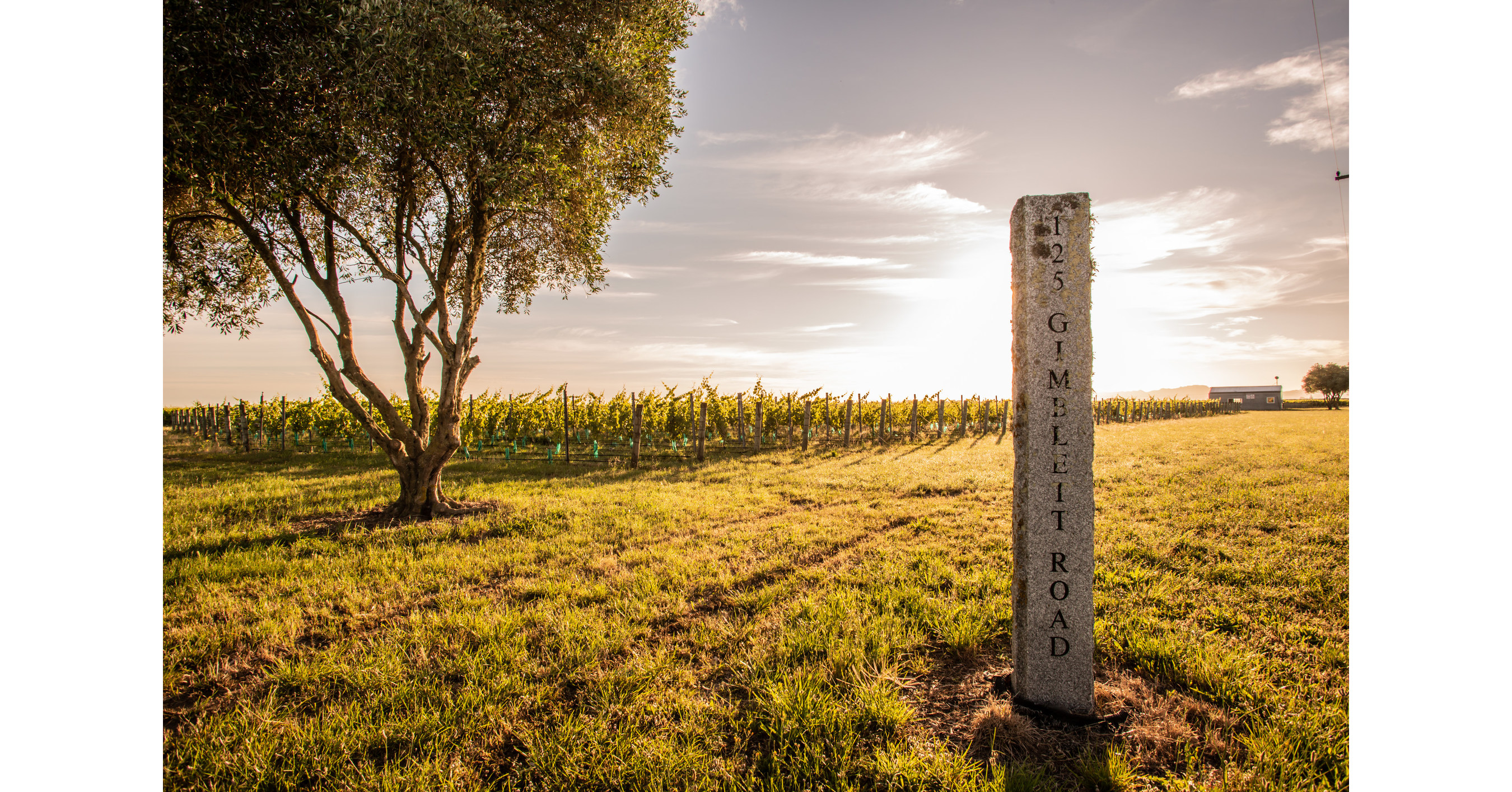 40 Best Wines in the World as judged at the International Wine