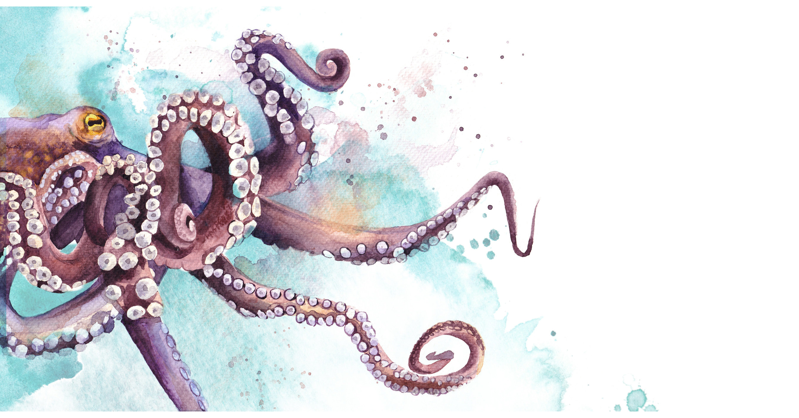 Women-run Non-Profit Publisher Celebrates 5-year Anniversary with 7 New Book Releases