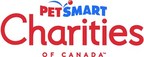 加拿大的PetSmart慈善机构庆祝全国收养周，把它作为带小猫回家的完美时间