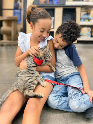 PetSmart Charities of Canadatm Celebrates National Adoption Week as the Purr-fect Time to Bring Home a Kitten (CNW Group/PetSmart Canada)