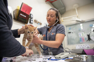 ASPCA Kitten Nursery Helps 10,000 of New York City's Most Vulnerable Animals With Support From Foster Caregivers