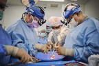 Successful Heart Xenotransplant Experiments at NYU Langone Set Protocol for Pig-to-Human Organ Transplantation