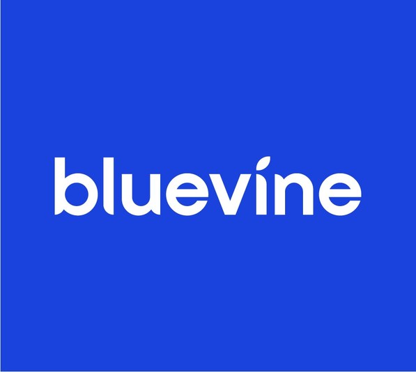 Bluevine Introduces New Banking Solution Designed for Accountants - Vimarsana News